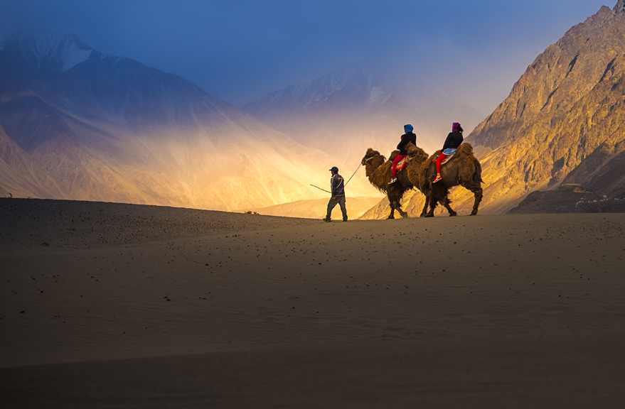 Nubra Valley Tour Guide: A Comprehensive Travel Guide