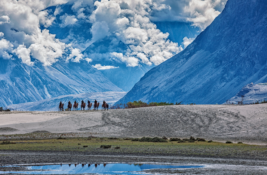 Nubra Valley Tourism (Ladakh) (2024) - A Complete Travel Guide