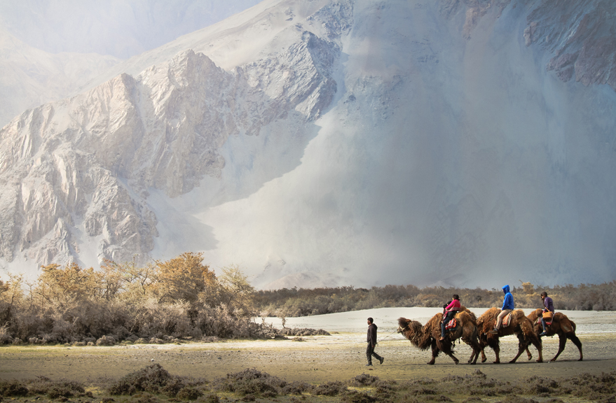 Hidden Wonders of Nubra Valley - Ladakh, Yarab Tso Lake, Hunder, Turtuk