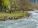 Horses graze along beautiful the lidder stream in Pahalgam